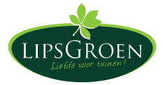 https://www.albuswebdesign.nl/wp-content/uploads/2016/04/lipsgroen.png
