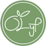 https://www.albuswebdesign.nl/wp-content/uploads/2018/11/Olijf-logo-66.png